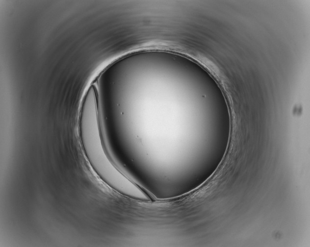 X0000099291296200805161316