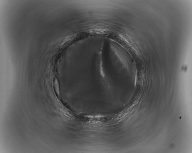 X0000099291297200805161316