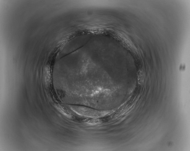 X0000099291298200805161316