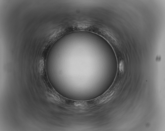 X0000099291299200805161316