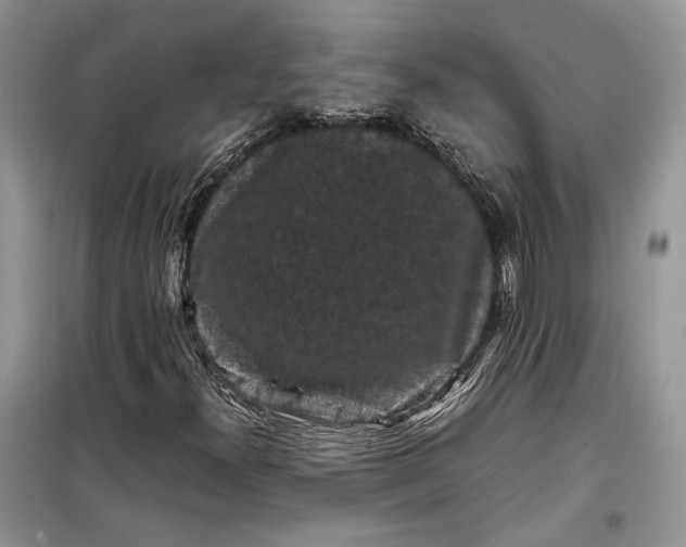 X0000099291300200805161316