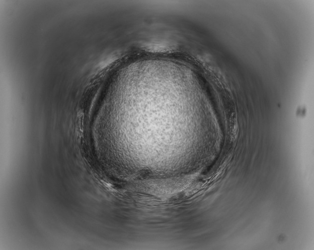 X0000099291301200805161316