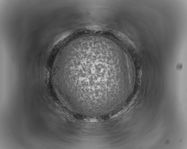 X0000099291302200805161316