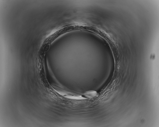 X0000099291303200805161316