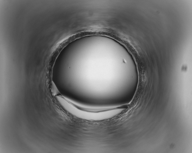 X0000099291304200805161316