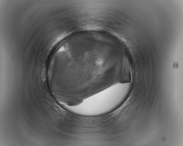 X0000099291306200805161316