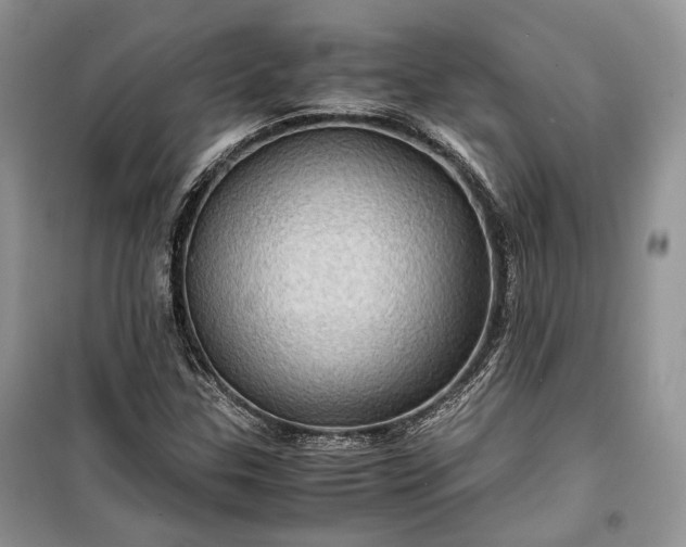 X0000099291307200805161316