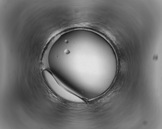 X0000099291308200805161316