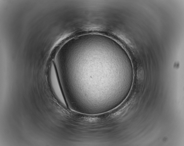 X0000099291309200805161316