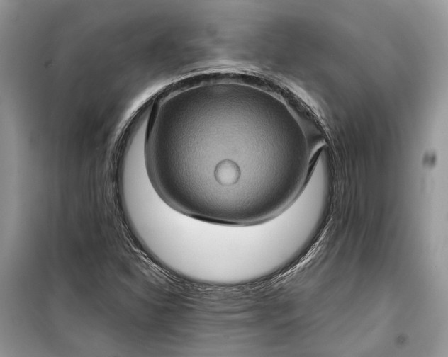 X0000099291310200805161316