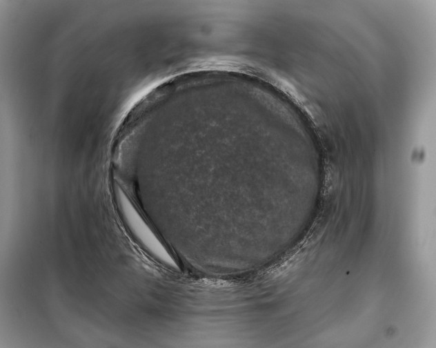 X0000099291312200805161316