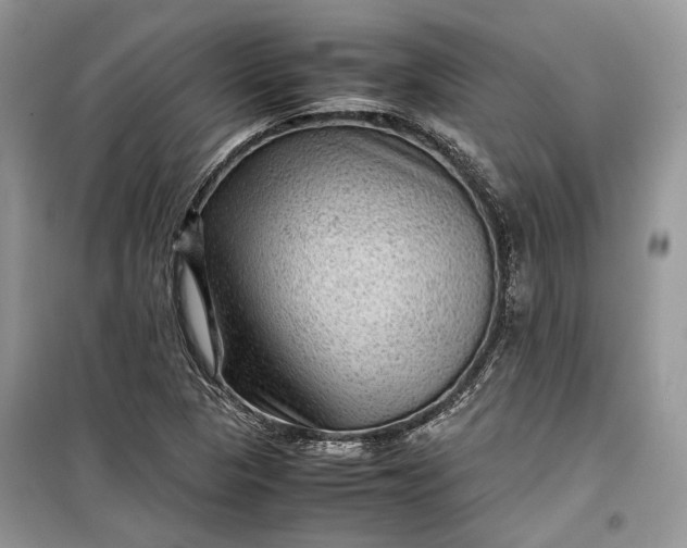 X0000099291313200805161316