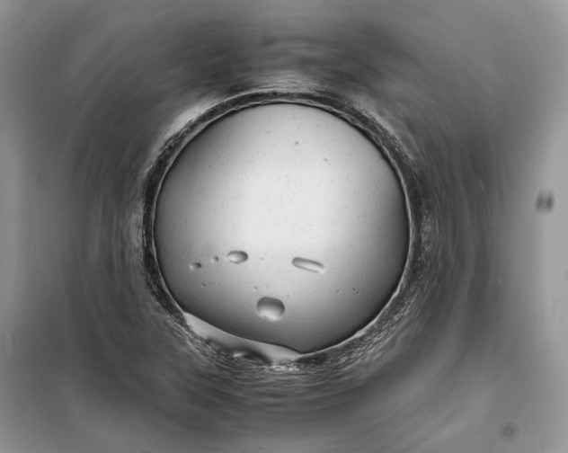 X0000099291315200805161316