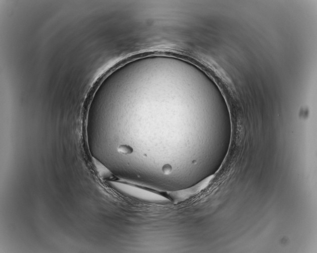 X0000099291316200805161316