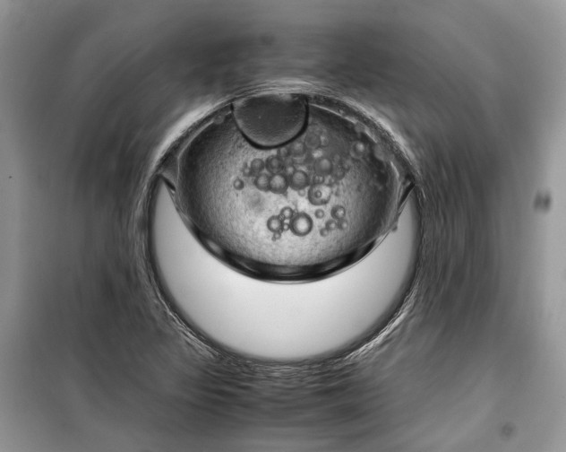 X0000099291317200805161316