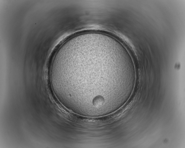 X0000099291318200805161316