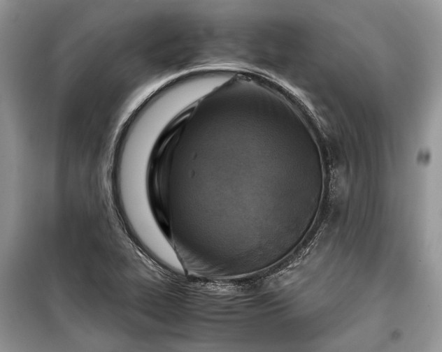 X0000099291319200805161316