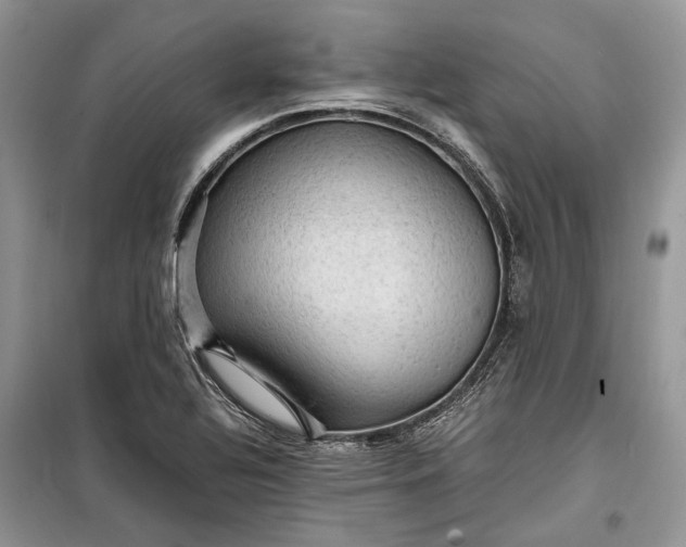 X0000099291320200805161316