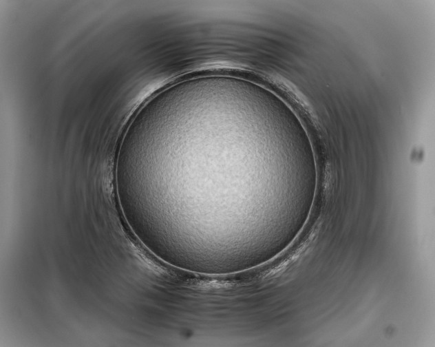 X0000099291321200805161316