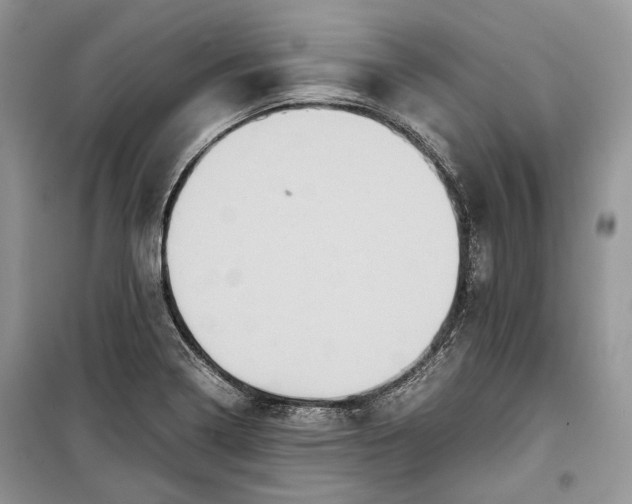 X0000099291322200805161316