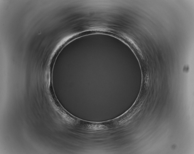 X0000099291323200805161316