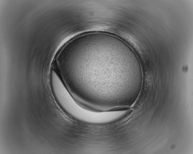 X0000099291324200805161316