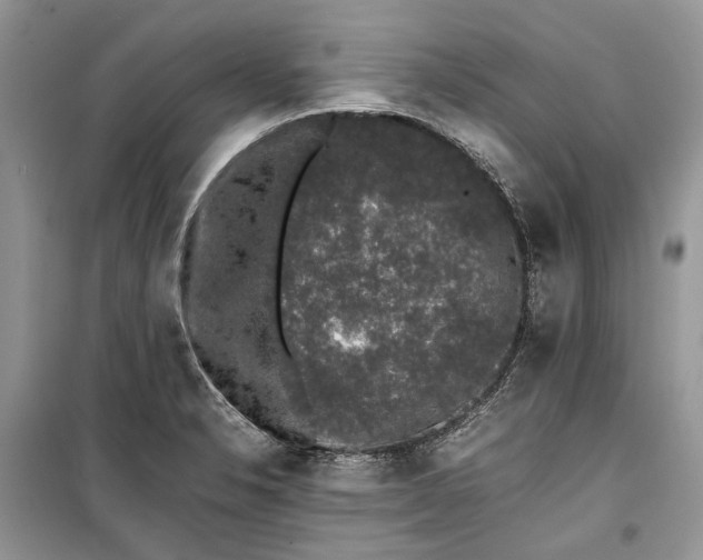 X0000099291326200805161316