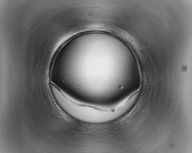 X0000099291328200805161316