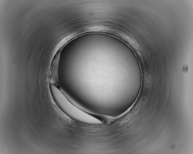 X0000099291330200805161316