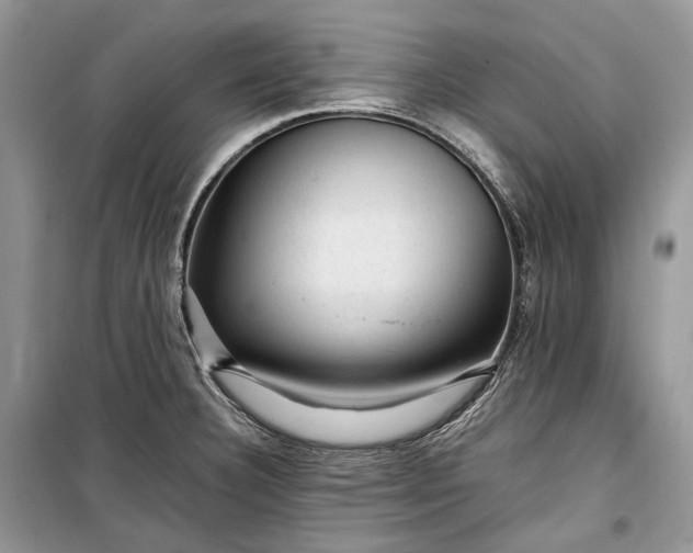 X0000099291332200805161316