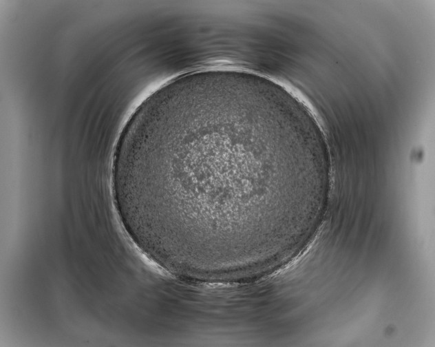 X0000099291333200805161316