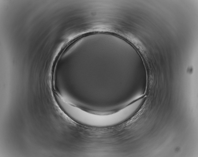 X0000099291334200805161316