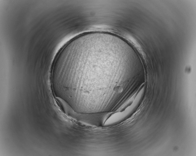 X0000099291336200805161316