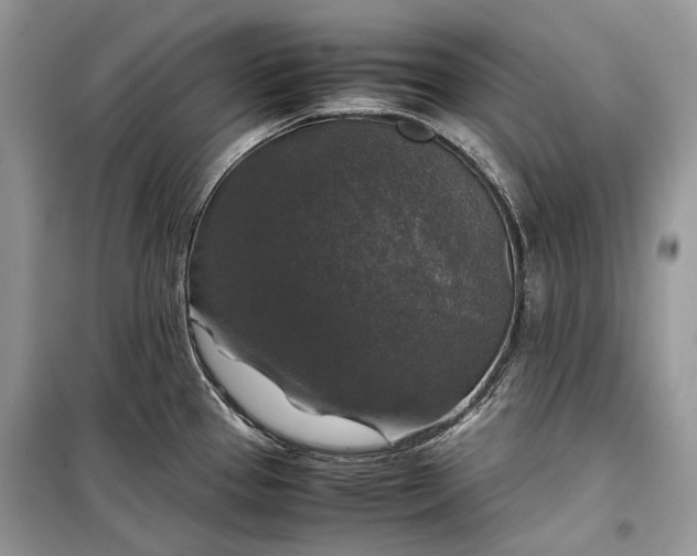 X0000099291337200805161316