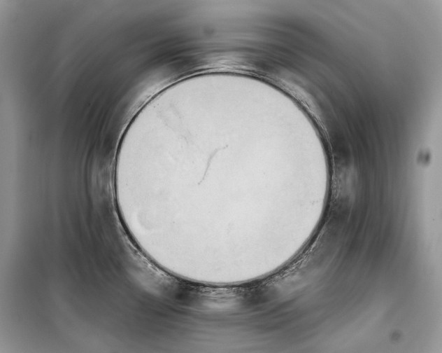 X0000099291338200805161316