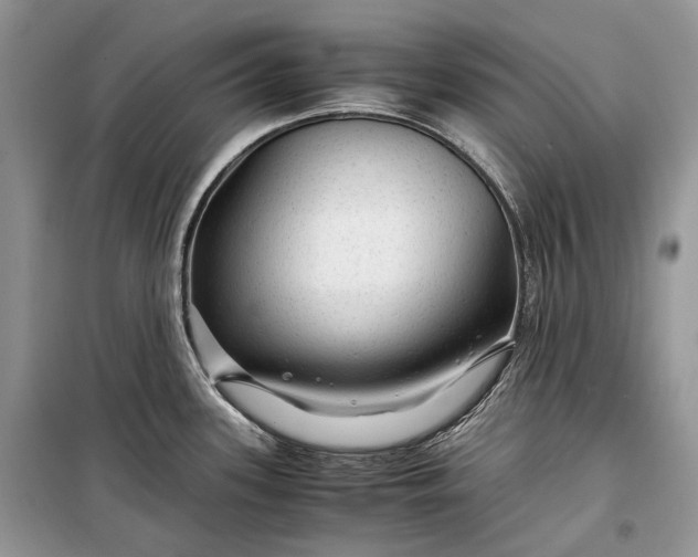 X0000099291339200805161316