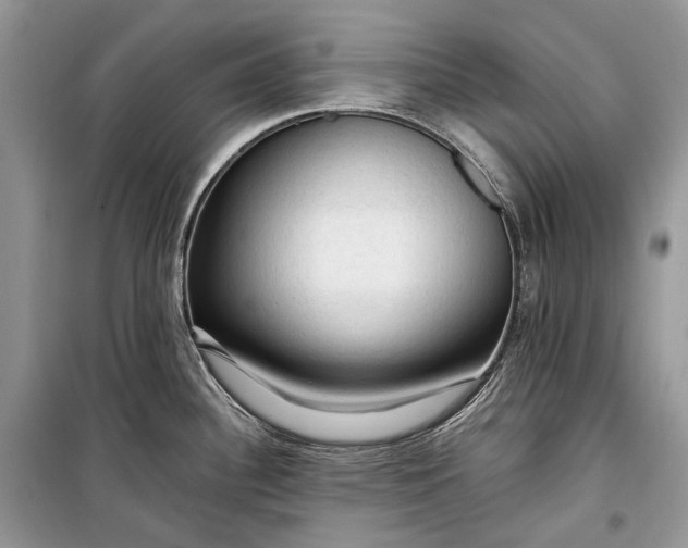 X0000099291340200805161316