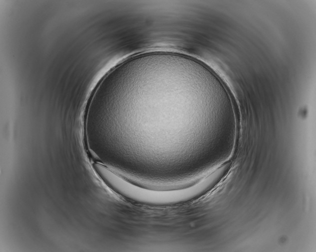 X0000099291341200805161316