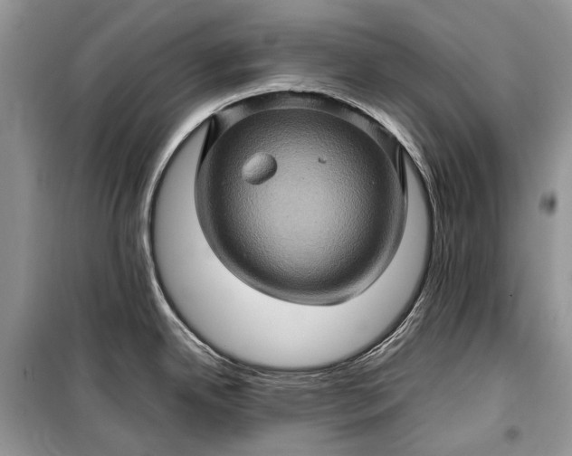 X0000099291342200805161316