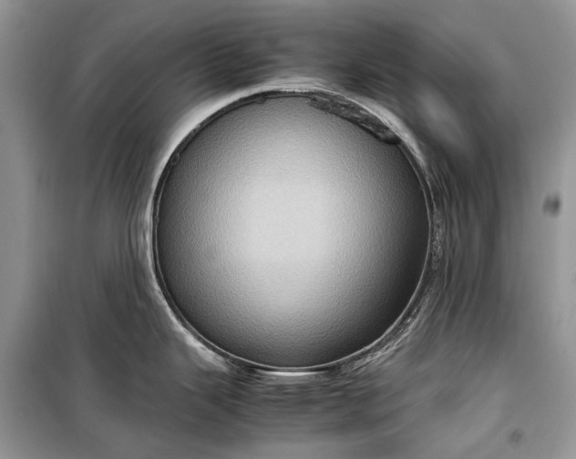 X0000099291343200805161316