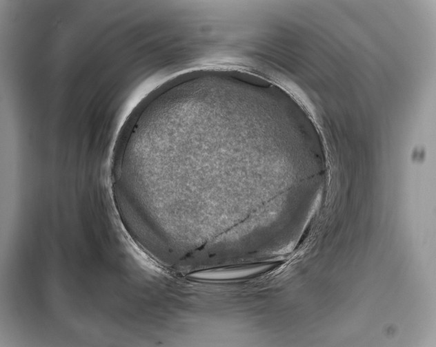 X0000099291344200805161316