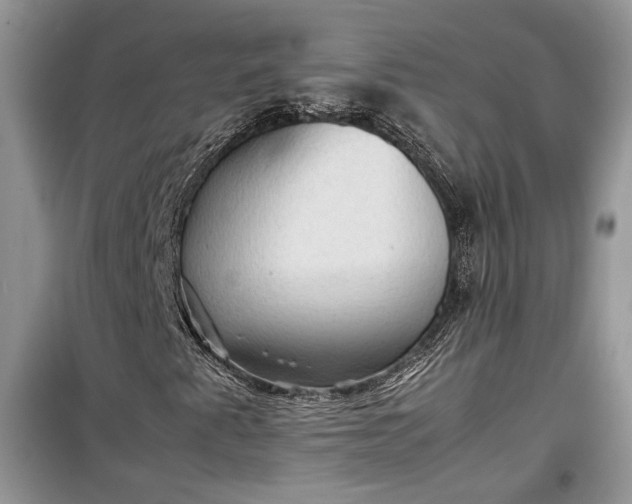 X0000099291345200805161315