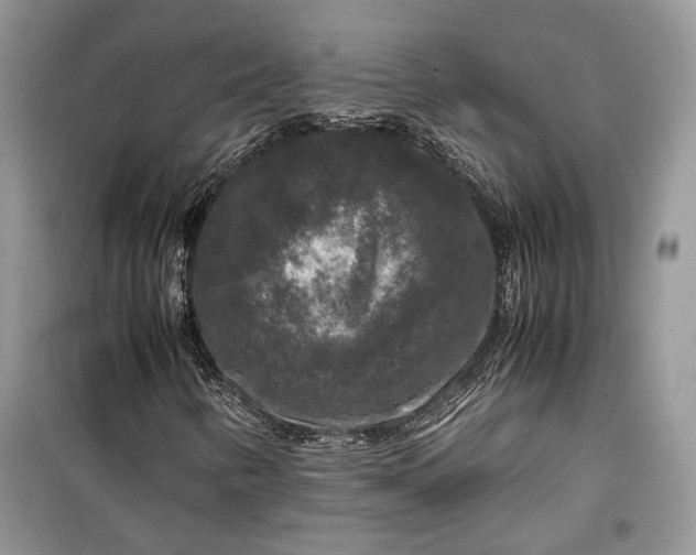 X0000099291346200805161315