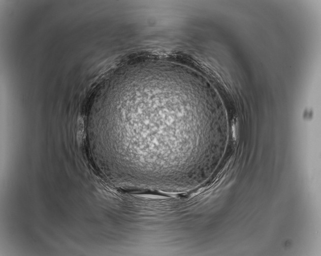 X0000099291347200805161315