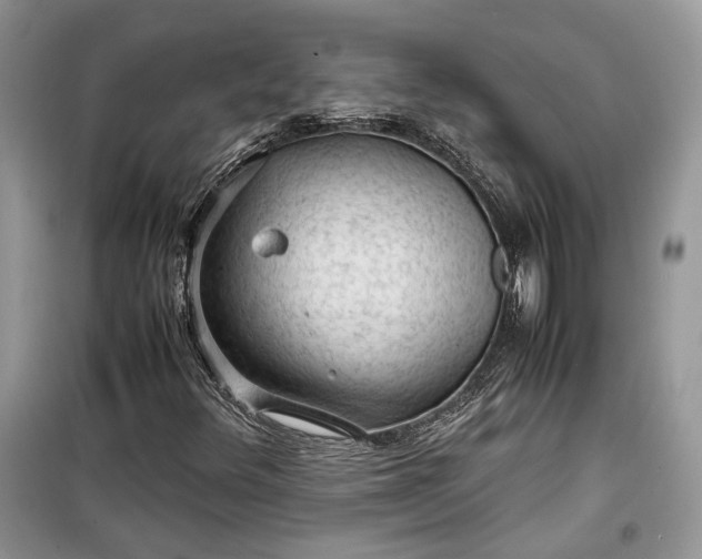 X0000099291348200805161315