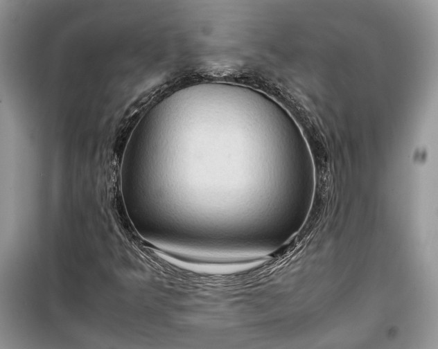 X0000099291349200805161315