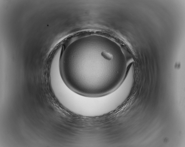 X0000099291352200805161315