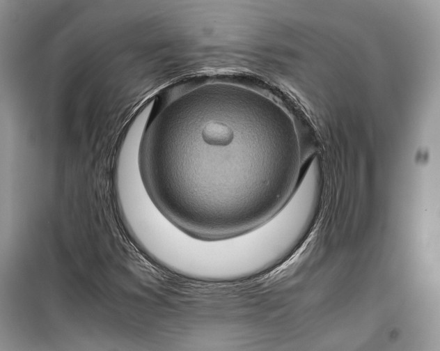 X0000099291353200805161315