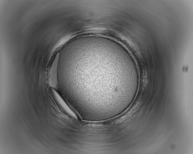 X0000099291354200805161315