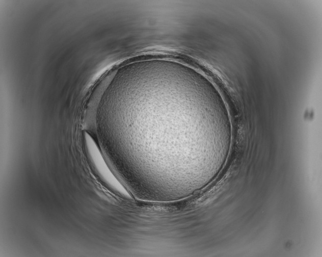 X0000099291355200805161315